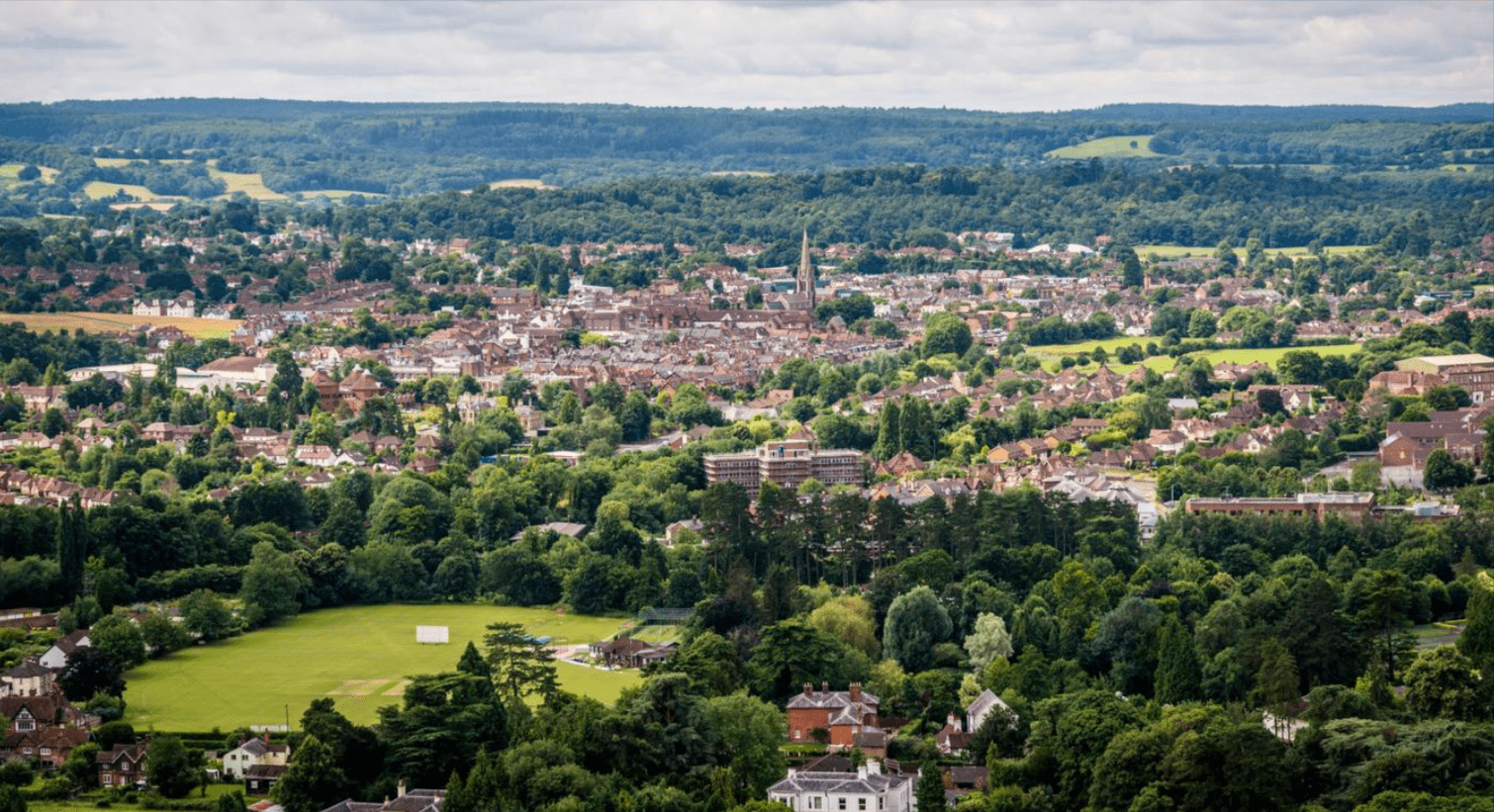 A Food & Wine Guide to English Vineyards Near Dorking, Surrey